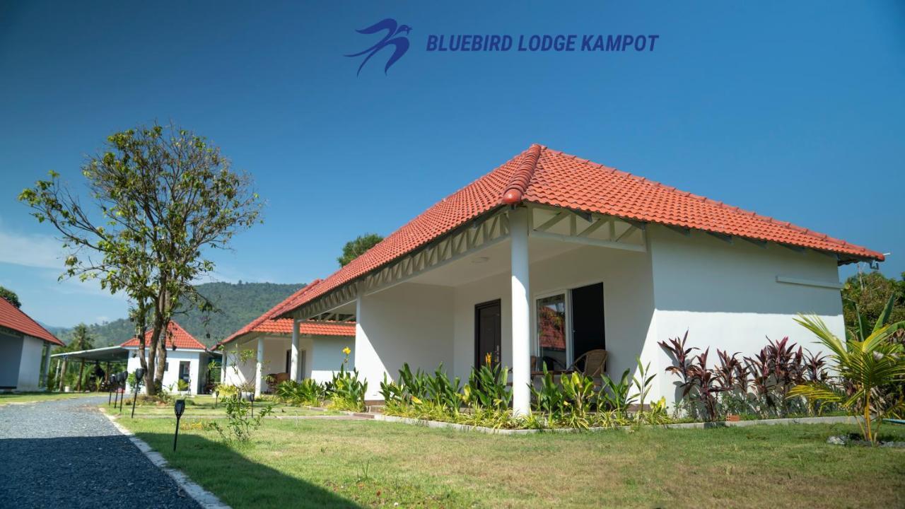 Bluebird Lodge Kâmpôt Zewnętrze zdjęcie