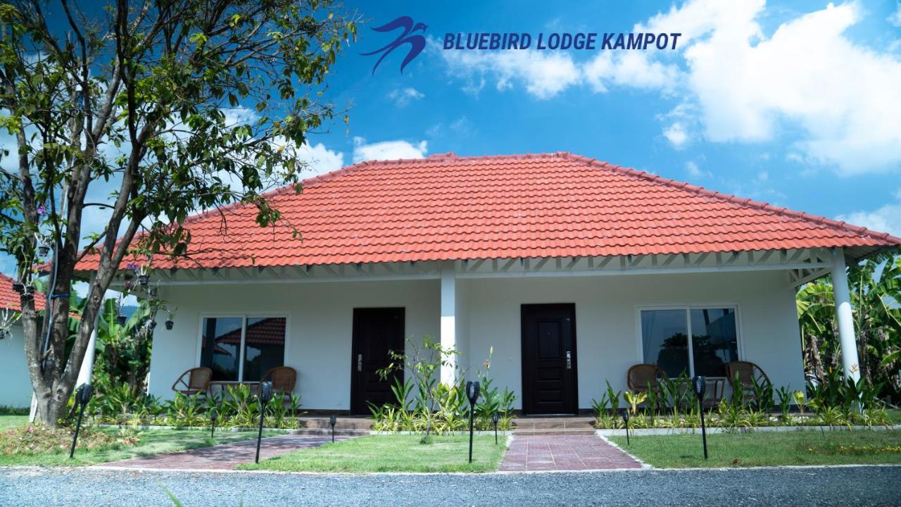 Bluebird Lodge Kâmpôt Zewnętrze zdjęcie